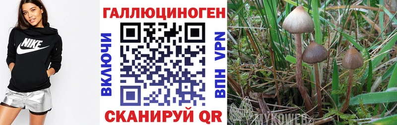 Галлюциногенные грибы мицелий  Купить закладки  Сергач 